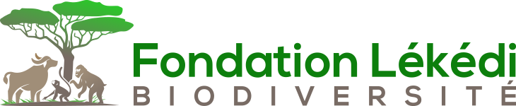 Fondation Lékédi Biodiversité Logo