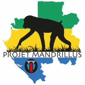 Projet Mandrillus-logo Projet Mandrillus-logo
